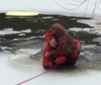 Emmett, a 3-year-old Golden Retriever, was rescued from an icy pond in his backyard.