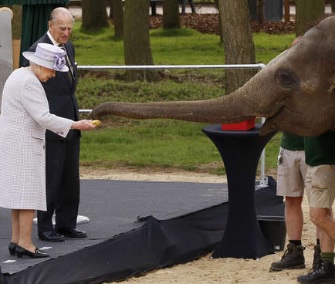 Queen Elizabeth fed Donna the Asian elephant at the Whipsnade Zoo.