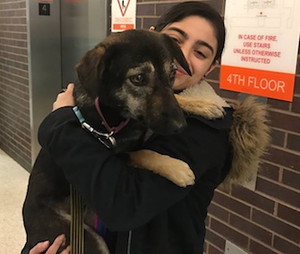 Pandy is safe and waiting for an adopter at Animal Haven after a jaunt through the storm in New York on Tuesday.