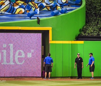 A cat climbed a sculpture during a Miami Marlins game on Tuesday.