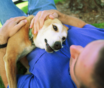Lying down hug with dog