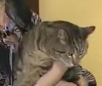 BooBoo, who's now 6, was reunited with his family on Friday after being missing for four years.